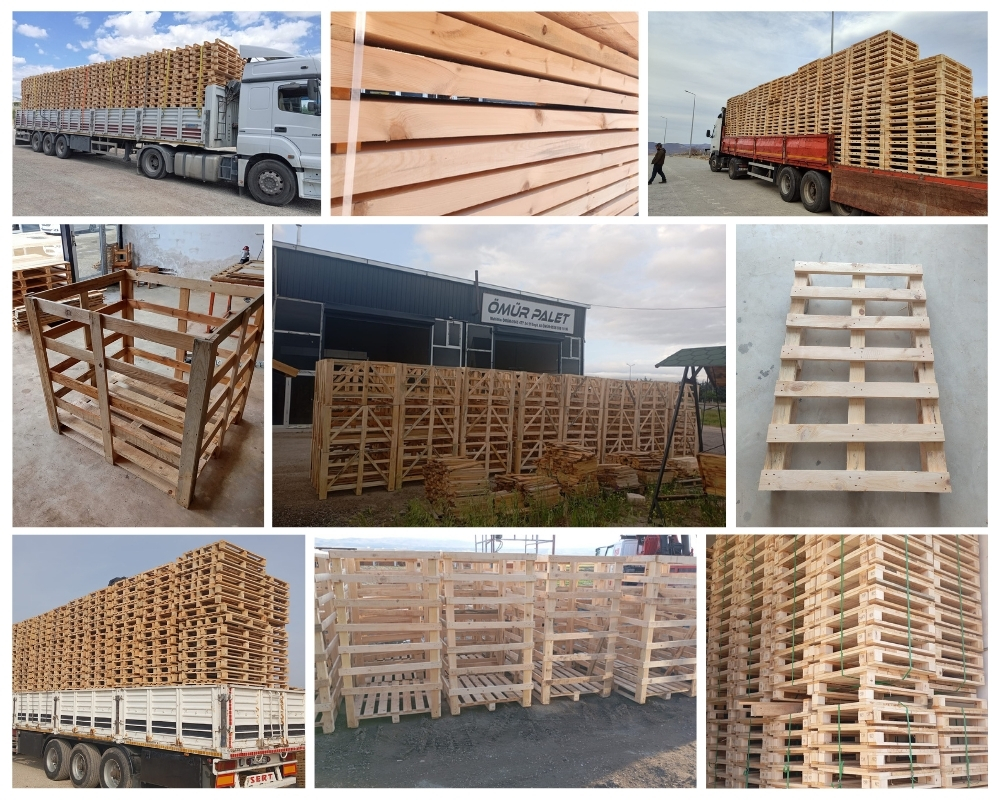 Bagneux Palette Europe, Acheter des palettes en gros